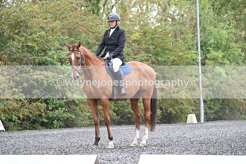 WJ7_3462 - Time 09:54 to 10:54