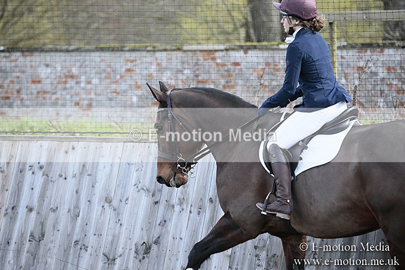 BVRC SJ 170319 92 - Bourne Valley Riding Club Showjumping 17/03/19