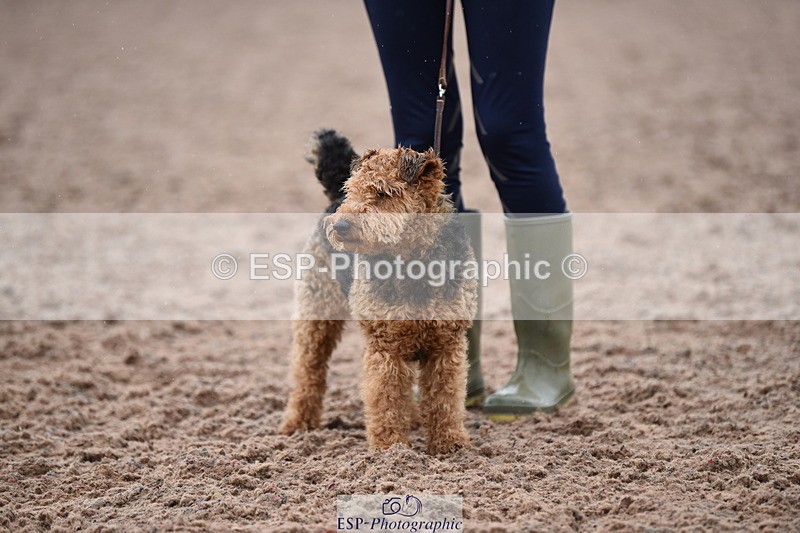 240518A-132648-01301 - Cls 8 Dog the judge would most like to take home