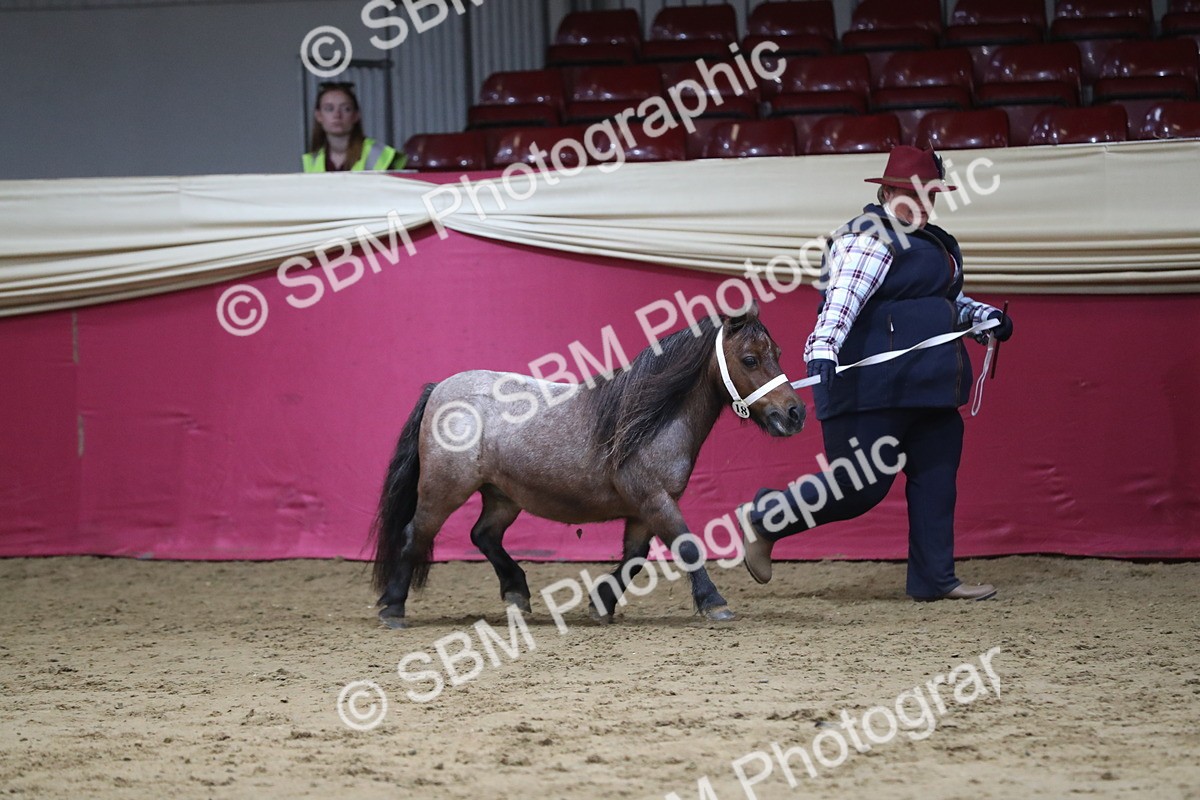 SBM_06368 - Class 9R Regional- IH Pre Vet
