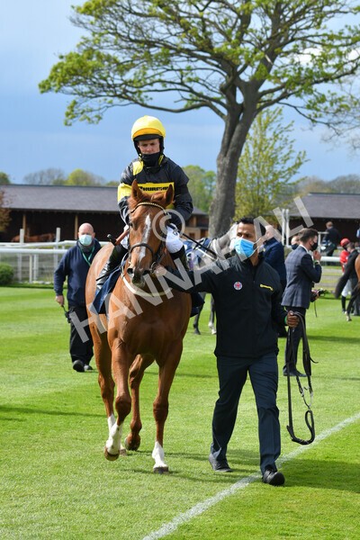 yr12052021r6-28 - Race 6 4.15pm British Stallion Studs EBF Novice Stakes
