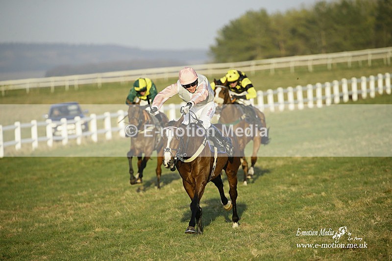 PtP 270222 702 - South & West Wilts Point-to-Point Larkhill 27/02/22