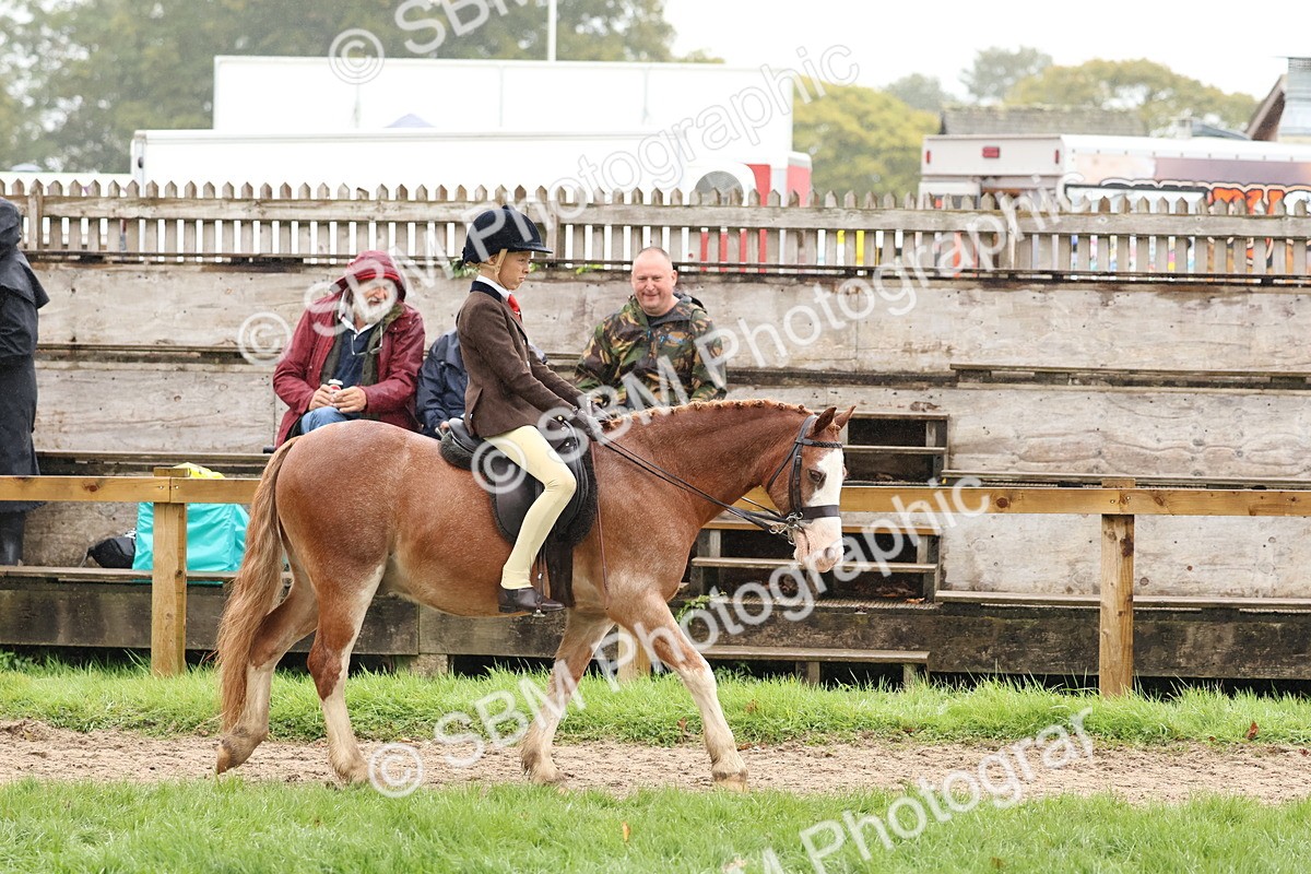 SBM_72979 - S63 Show Pony & Show Hunter Pony Ridden