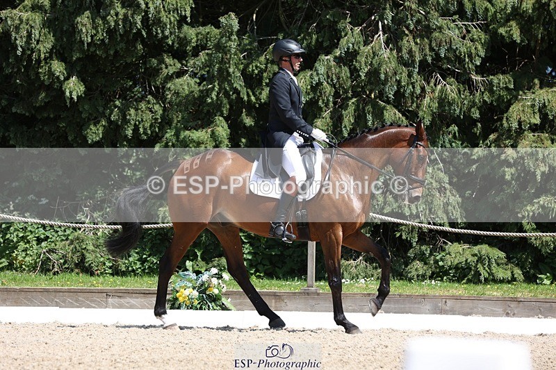 230526-140855-06463 - 371-JERPOINT_ECLIPSE-Max_Gordon-WEDTrotUp+DR