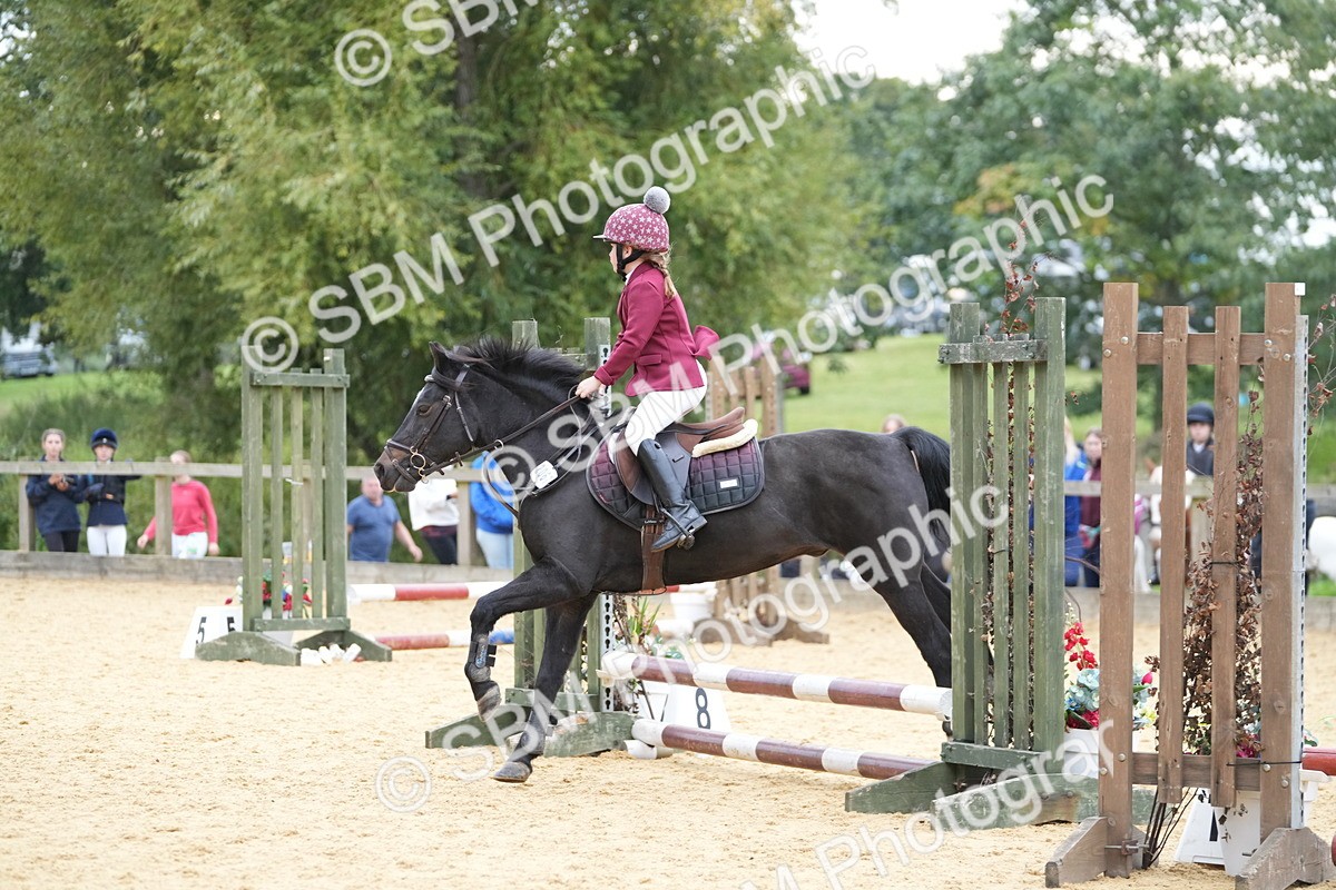 SBM_74570 - J4 - Mini Tour Junior Pony 45cm Championship