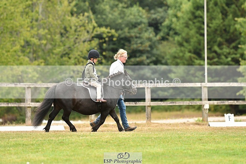 250820A-113328-05134 - 11am to 12