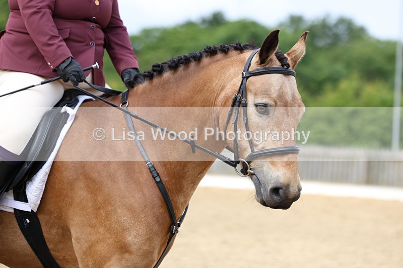 3E7A9136 - Class 2: Intro 1 2024 Section B