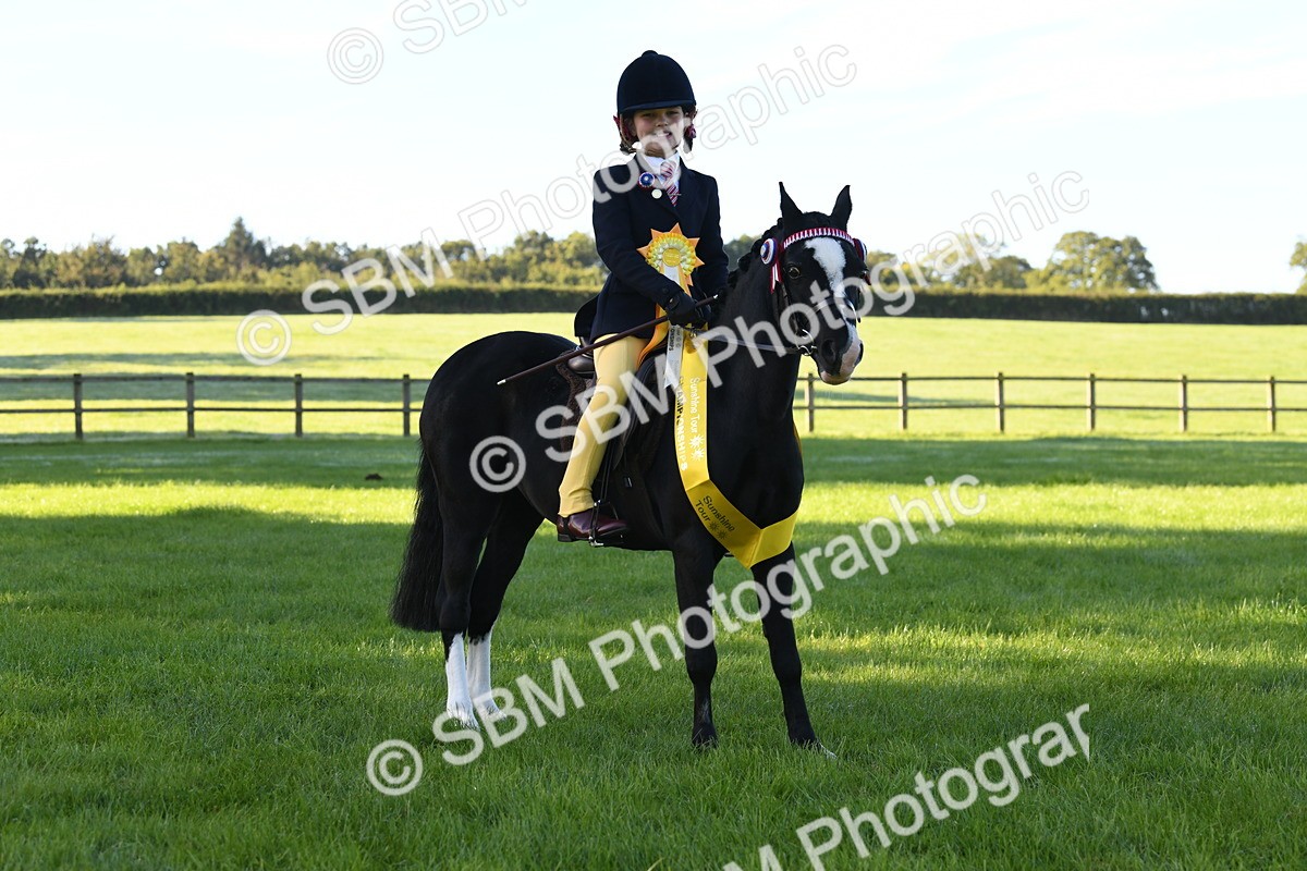 SBM_34091 - S16 - Condition & Turnout - Ridden