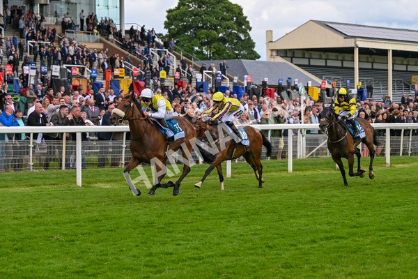 140624-Race 5-Invisible Friend-5234 - Race 6 4.45pm Irish Thoroughbred Marketing Handicap