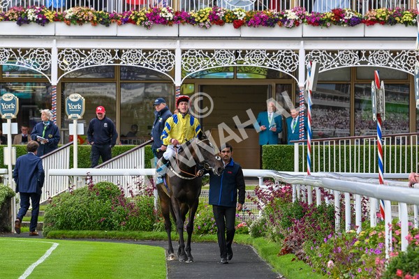 120724-Race 4-Karmology-6168 - Race 4 3.50pm Azets Handicap