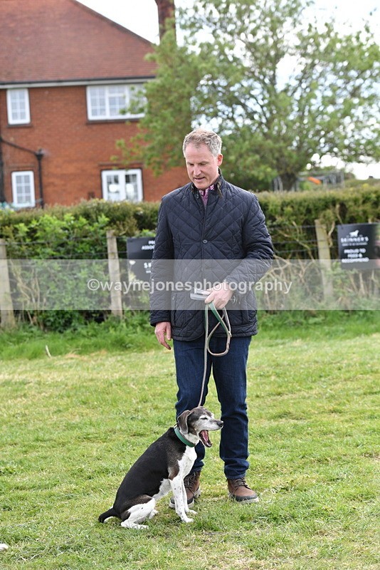 WJ5_0162 - Class 5 Best Veteran / 7 years & over