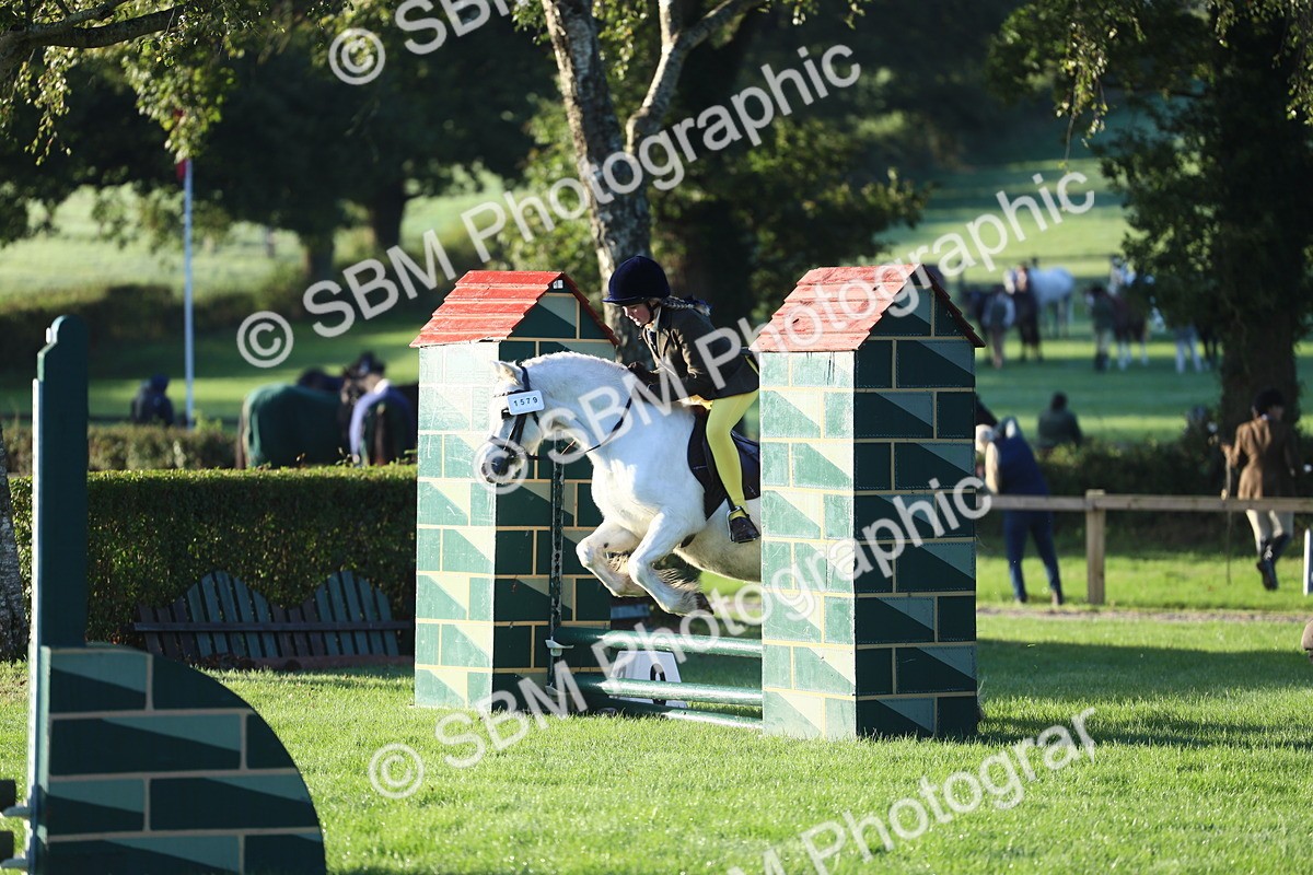 SBM_31774 - S28 - Nursery Stakes Working Hunter Pony