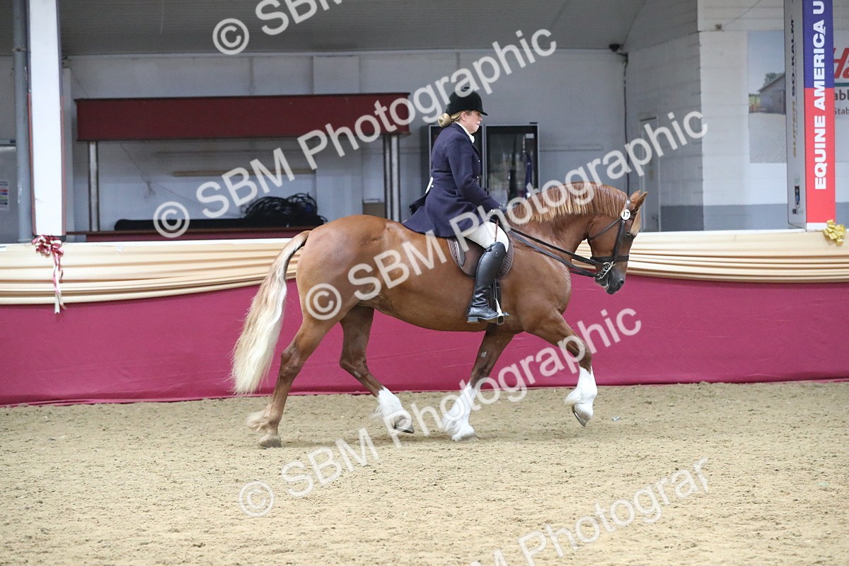 SBM_17189 - M&M Supreme Final Champ