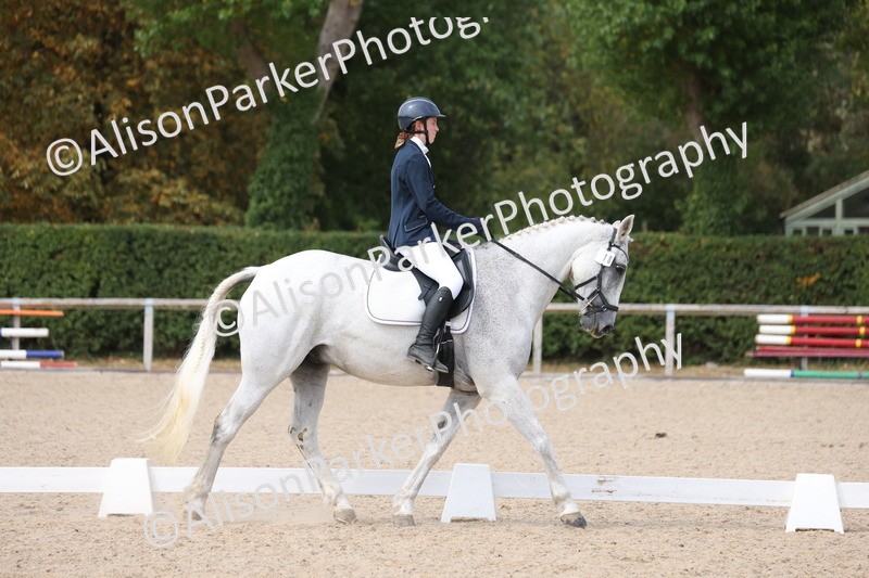 20250819-1556 - Class 5 - Novice 3