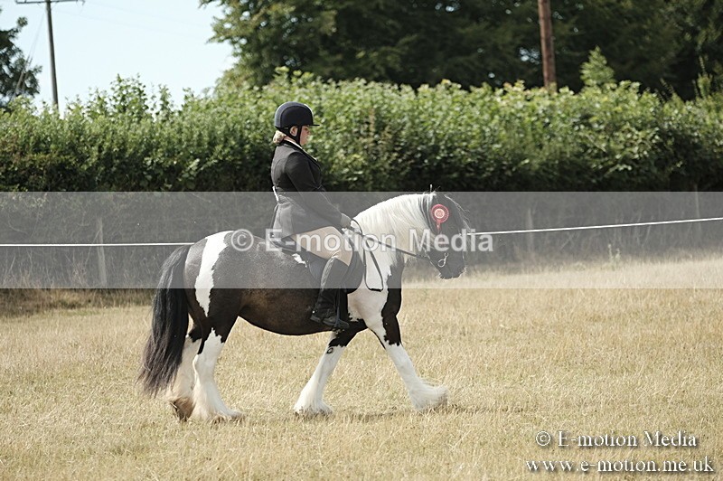 _PJP6099 - Ridden Championship BVRC Show 2018