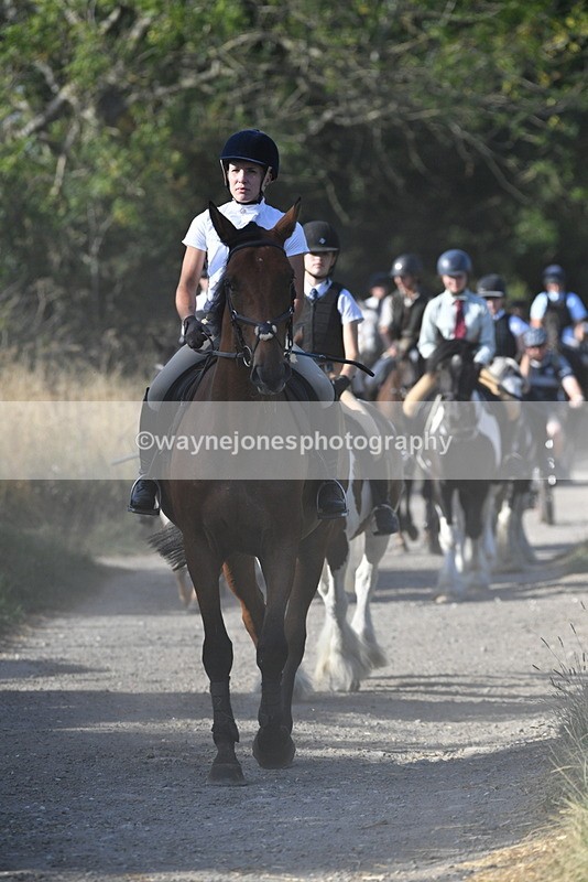 WJ5_4945 - Walk out with the hounds