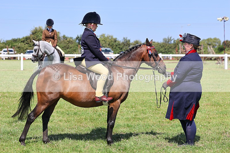 IMG_2171 - Class 36: Part Bred Ridden M & M