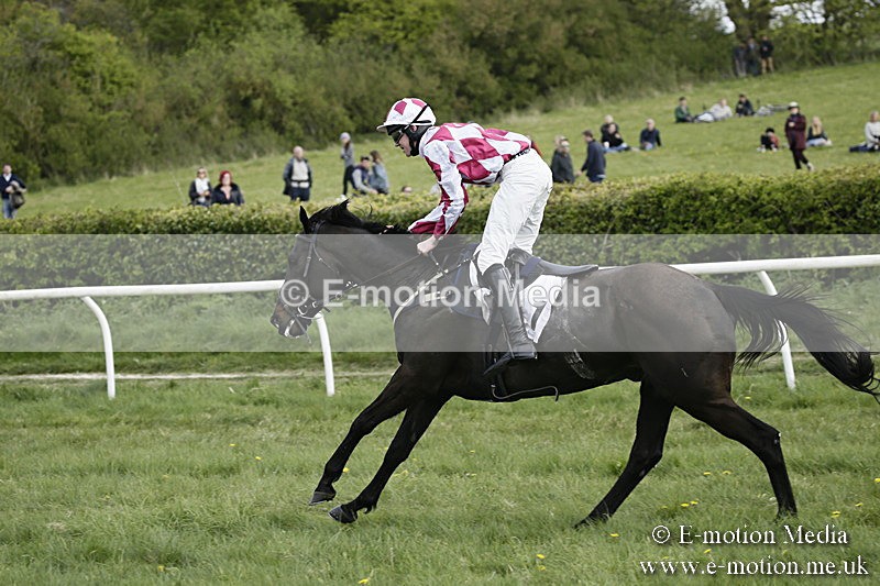 PtP 170417 379 - Old Berks Point-to-Point Lockinge 17/04/17