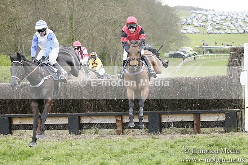 PtP 170417 450 - Old Berks Point-to-Point Lockinge 17/04/17