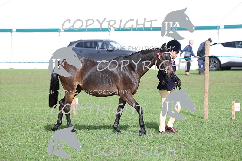 APP_2561 - Class 9 Veterans in hand