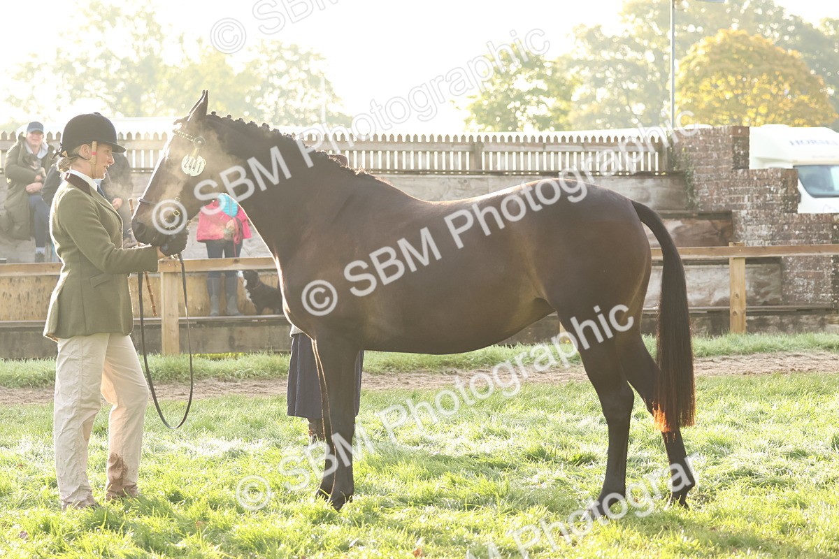 SBM_54560 - S38 - Starters Best Turnout