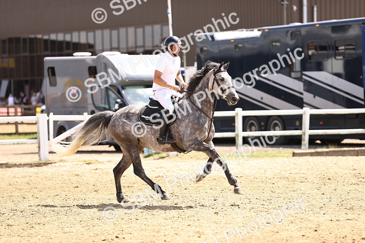 SBM_001895 - Class 16 - GFS Senior Newcomers 1.25m