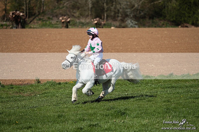 Shet 060426 159 - Shetland Pony Racing Paxford Races Easter Mon 06/04/26