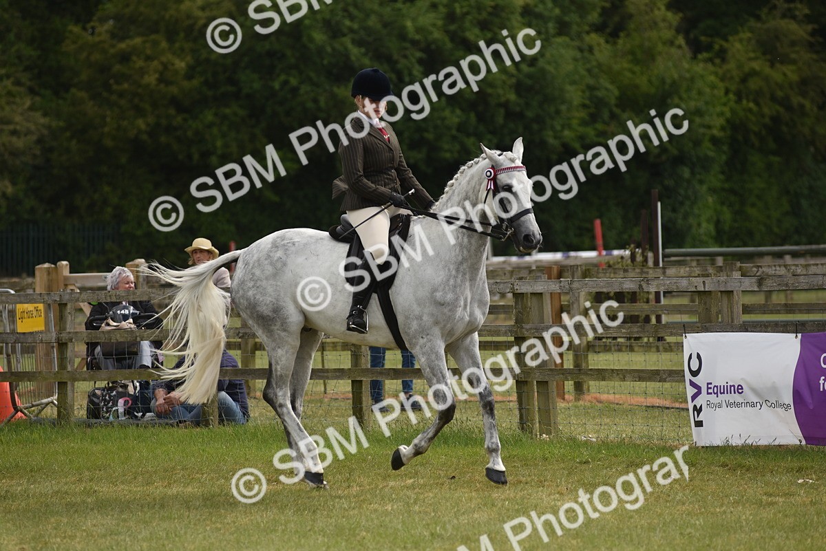 SBM_17714 - Class 122-123 - LIHS BHSA Raising Star Style and Performance Series