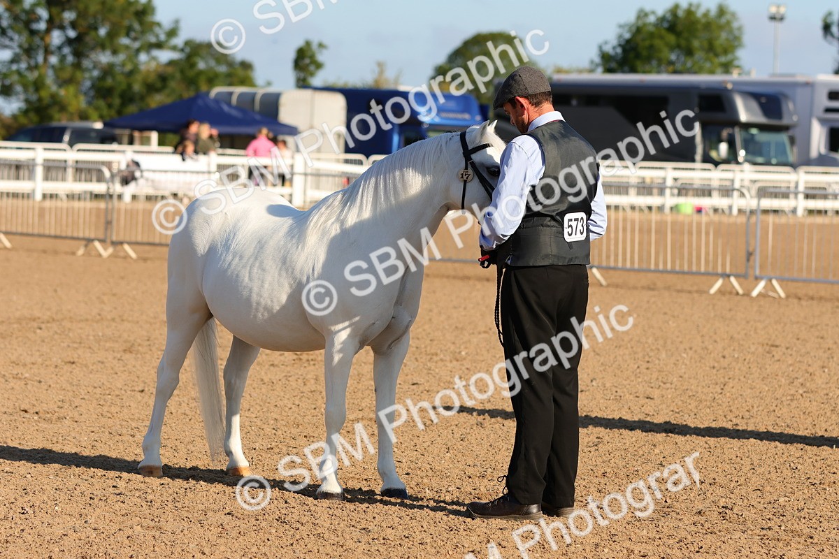 SBM_08071 - Class 201 - Best Turned Out - IH