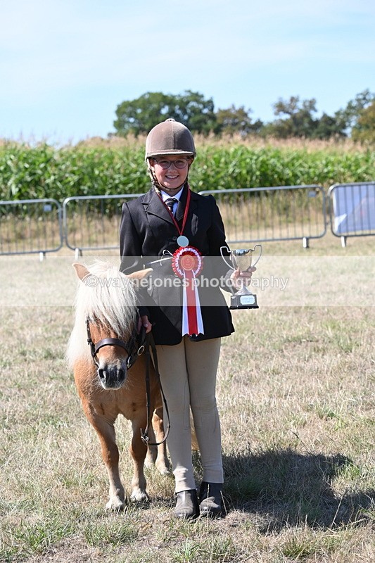 WJ6_8761 - Class 37b Best Loan Pony In-hand