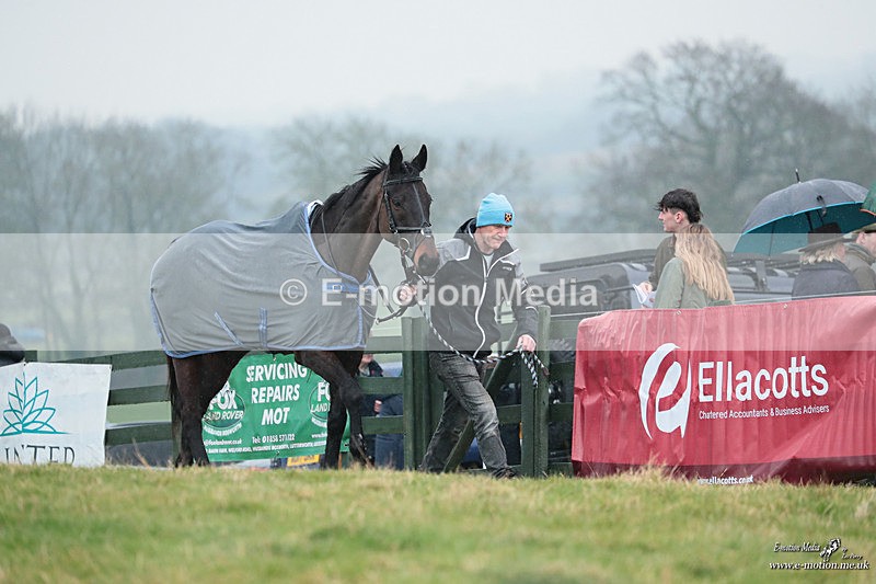 PtP 100324 481 - Pytchley with Woodland Point-to-Point Guilsborough 10/03/24