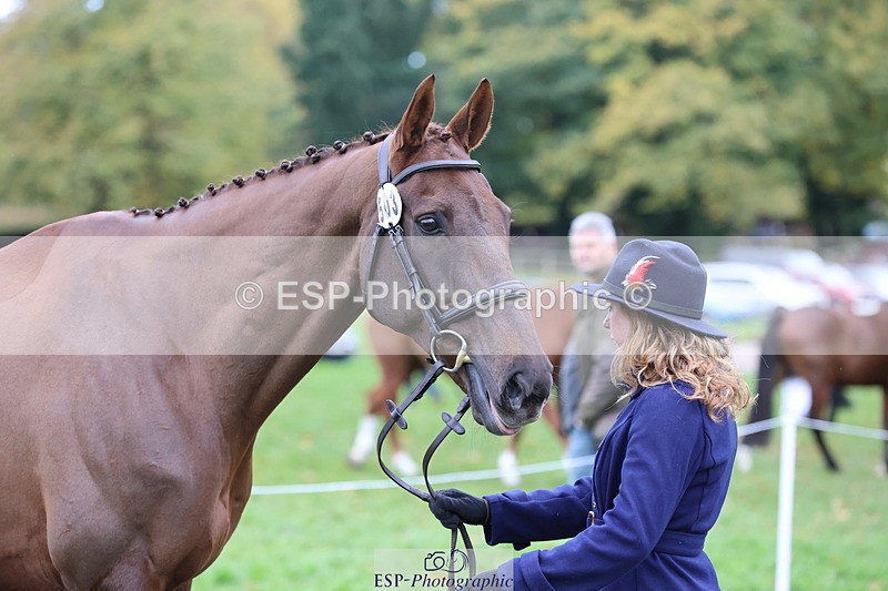 251026A-111020-25271 - G-503-Bethan.ODell