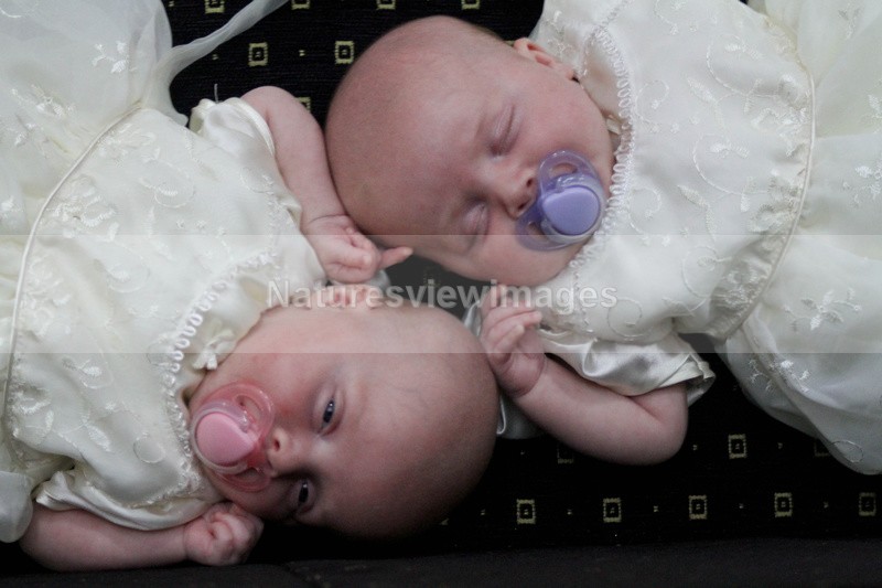 Babies2 - Weddings
