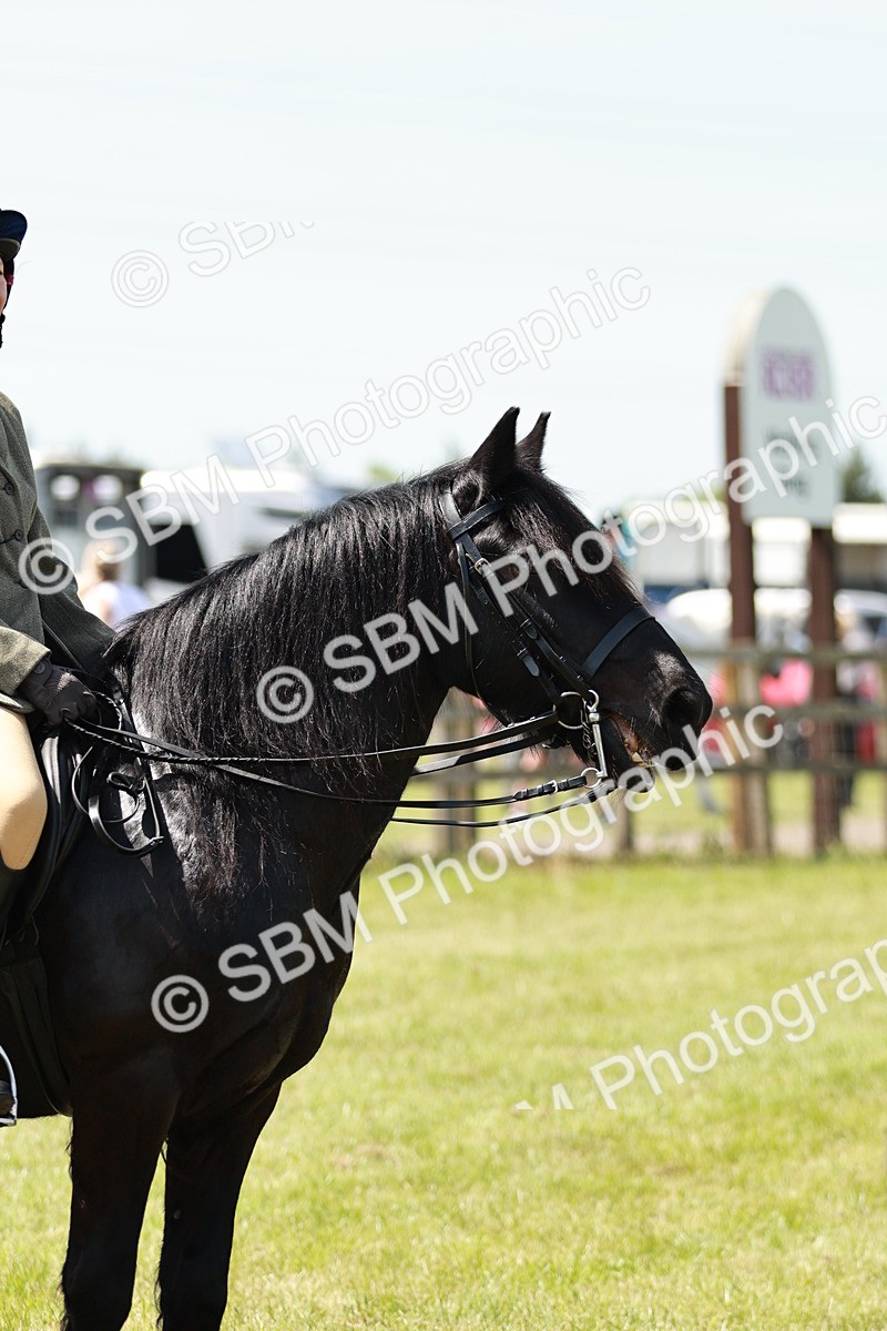 SBM_07094 - Class 26-30 - Mountain and Moorland Ridden