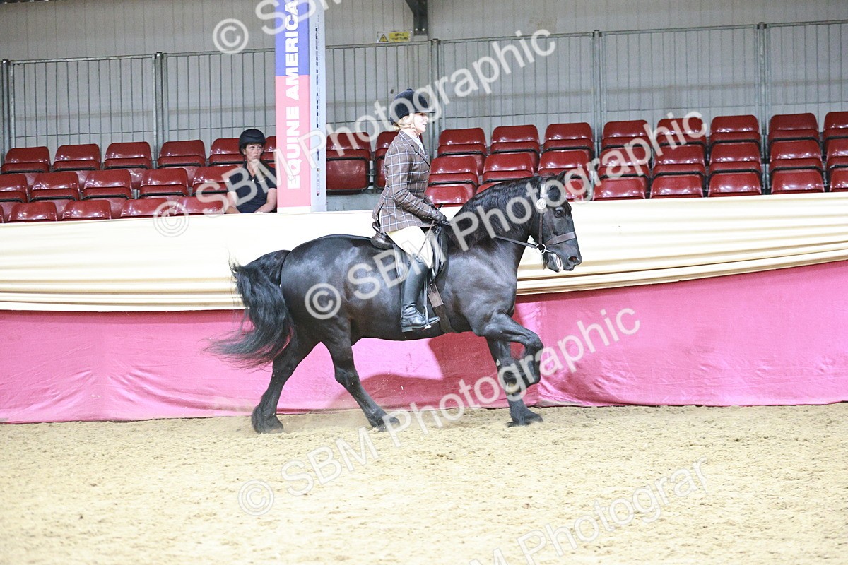 SBM_08777 - Class 12R - Regional Ridden Pre-Vet