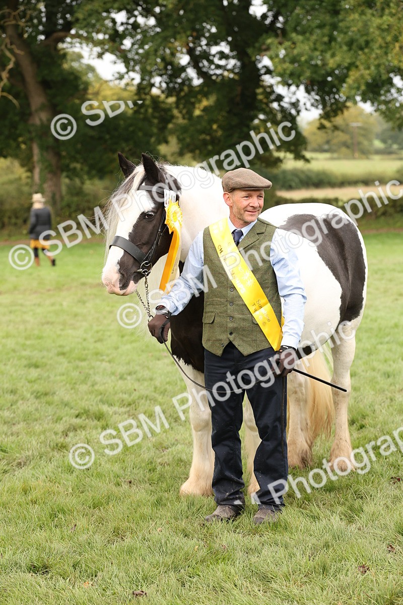 SBM_57534 - S56 - Show Cob in Hand