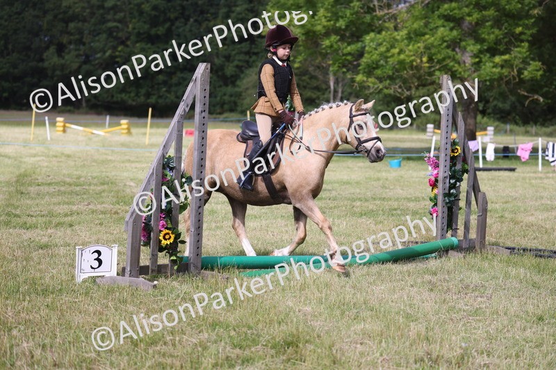 20260614-0448 - Class 20 - Beginners Working Hunter Pony