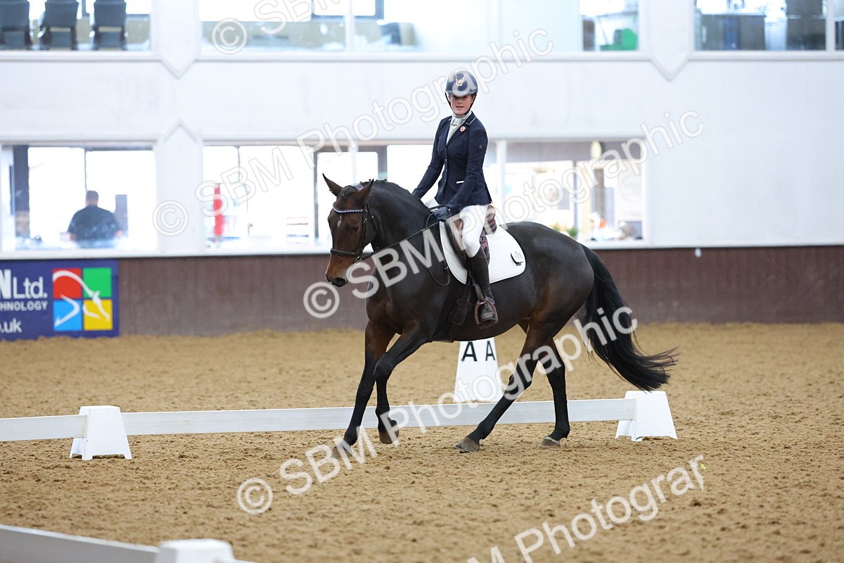SBM_004225 - Intermediate