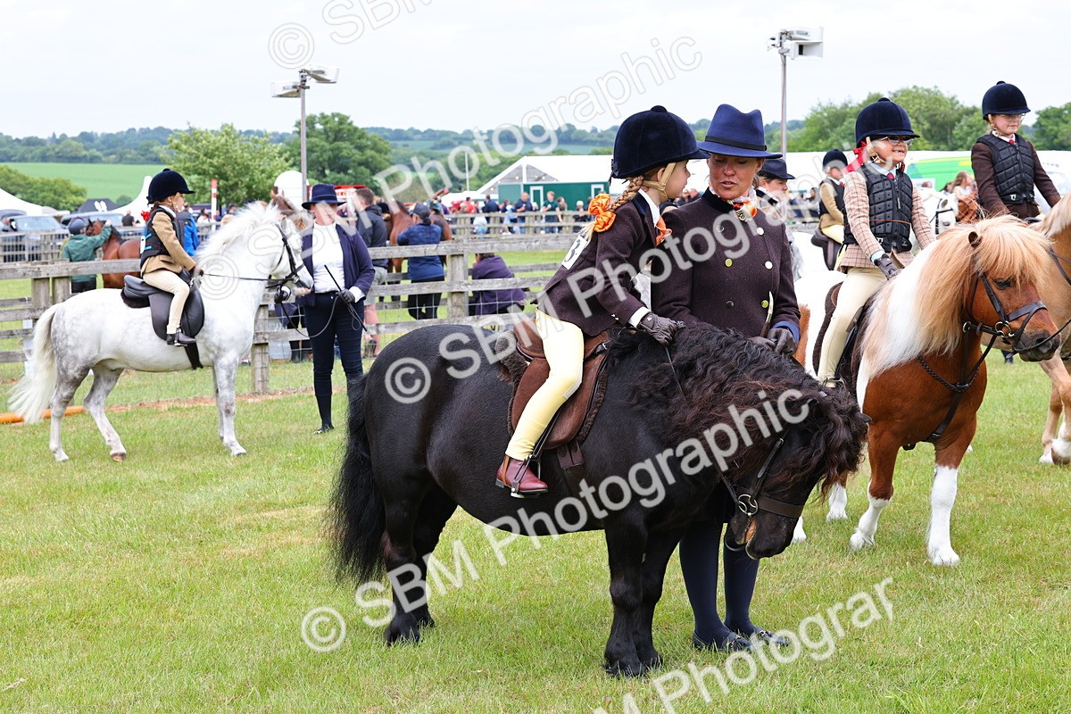 SBM_08349 - Class 42-43 - LIHS BSPS Heritage Working Sports Pony
