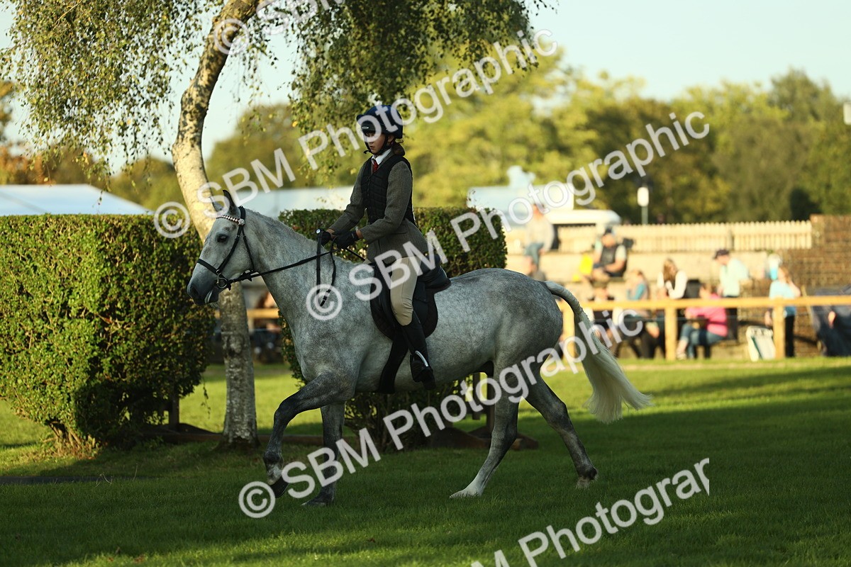 SBM_55543 - S14 - Riding Club Horse