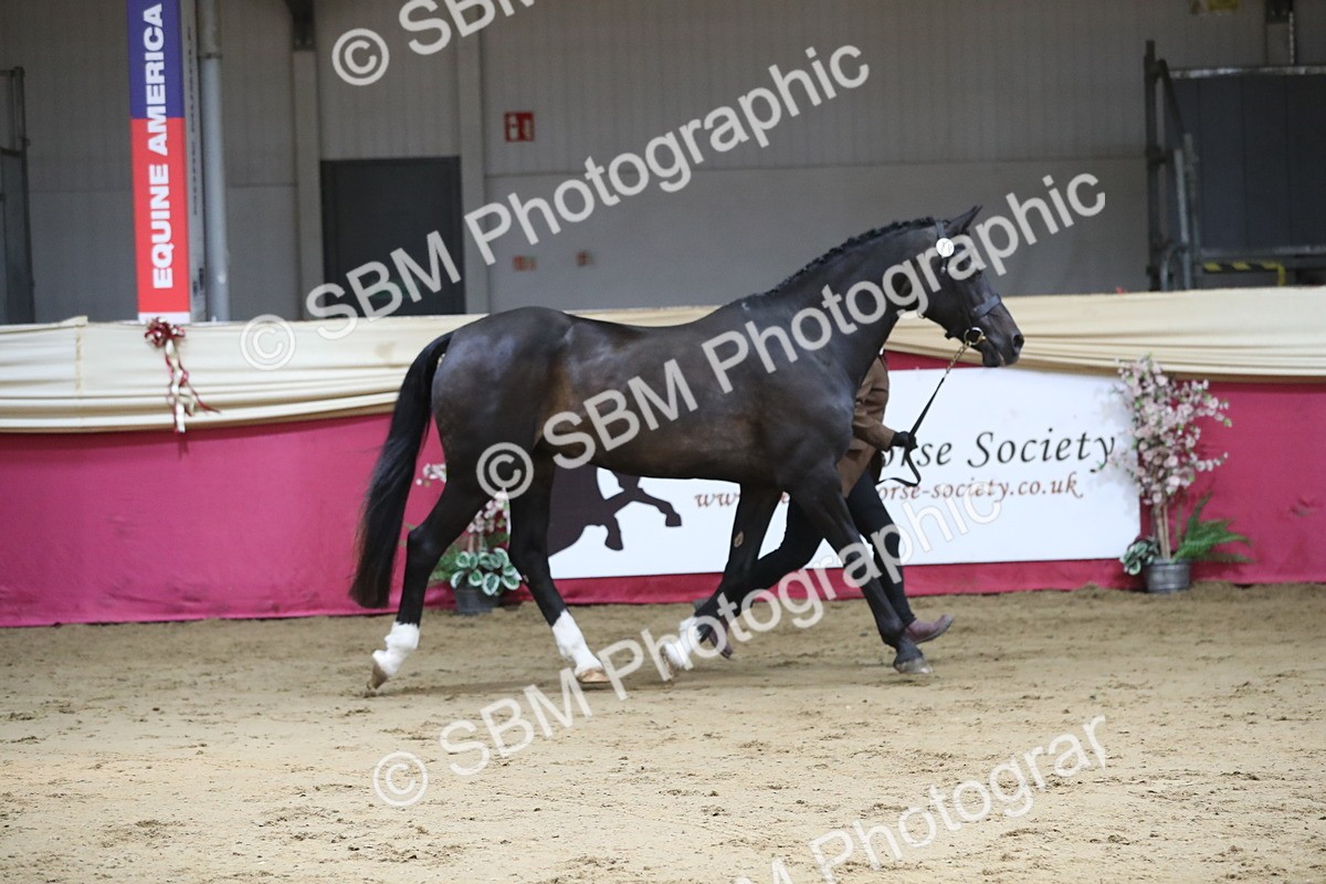 SBM_04395 - Class 7R Regional - IH Diamond