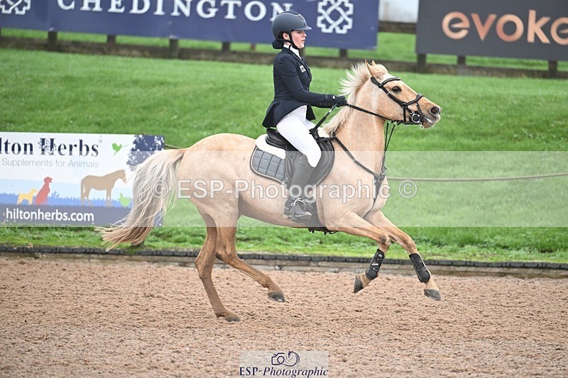 251115-132958-00794 - Cls 32+33 Springboard and Winter 138cm
