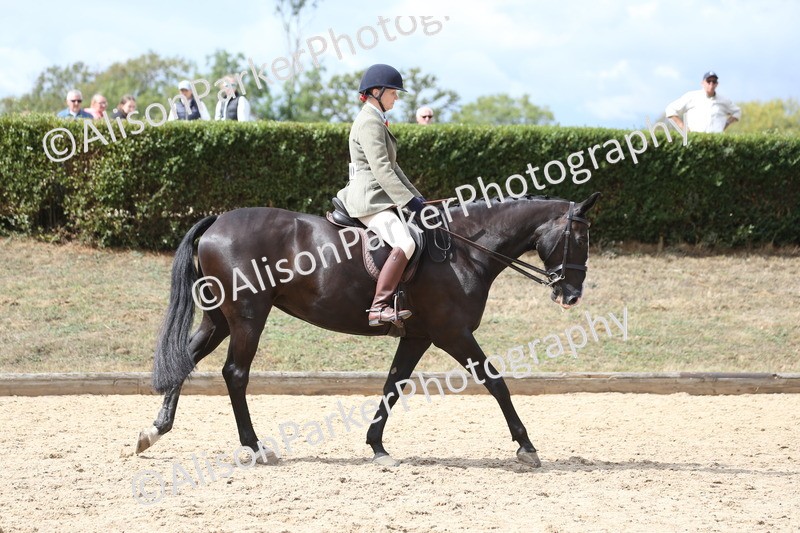 20260831-2701 - Class 16 and 17- Ridden Cob and Hunters
