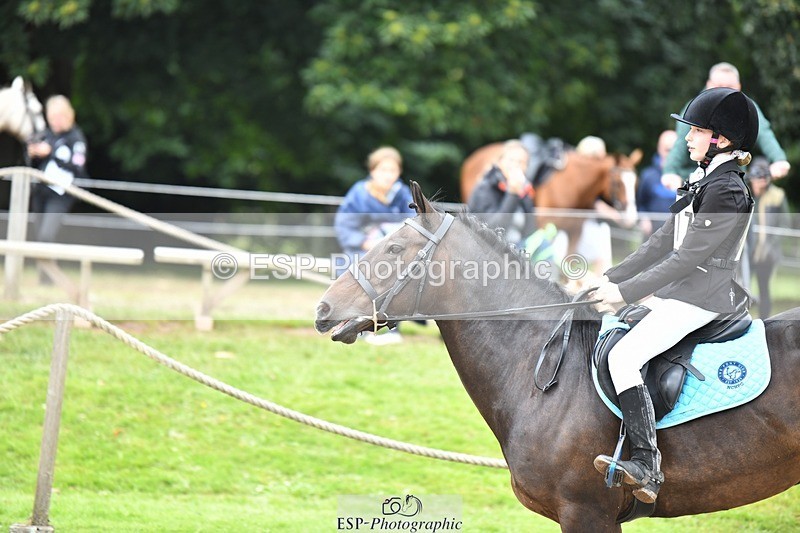 230827-121832-24424 - SJ 11.30 to End