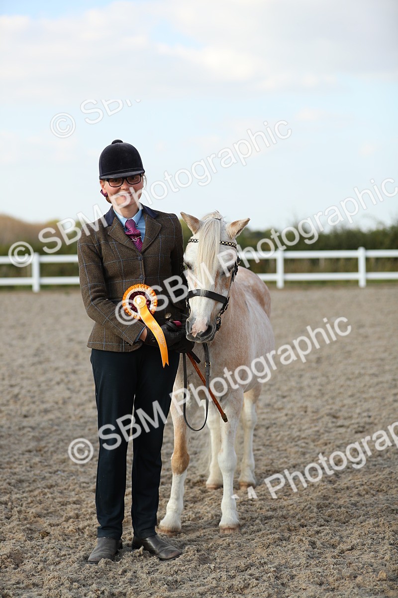SBM_09097 - Class 29 IH Veteran Pony