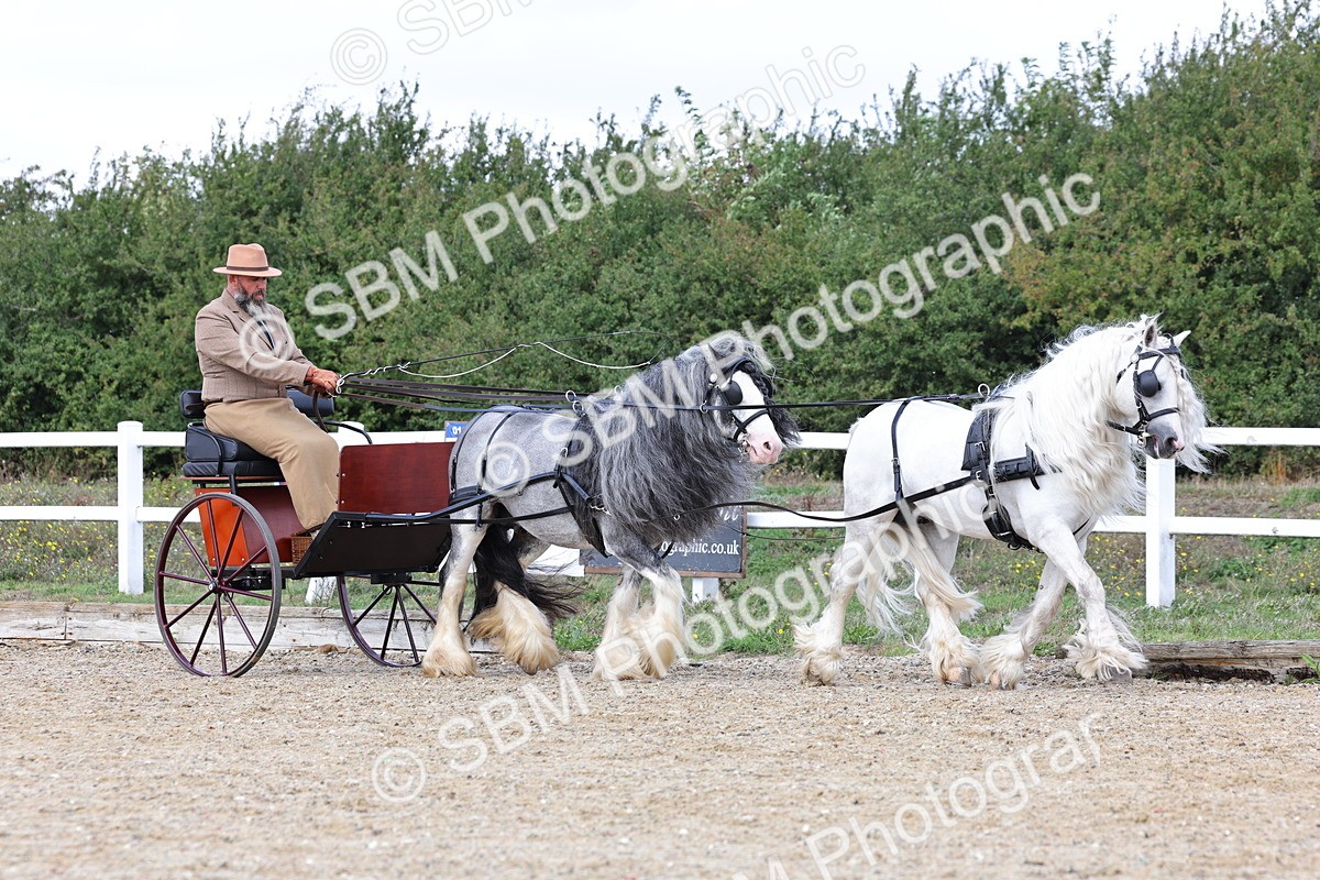 SBM_001147 - Class 16 - Pairs ,Multiples and Tandems
