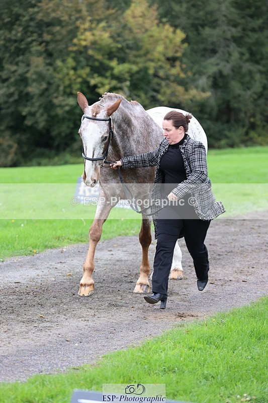 251026A-113300-25518 - F-426-Tracey.Neville