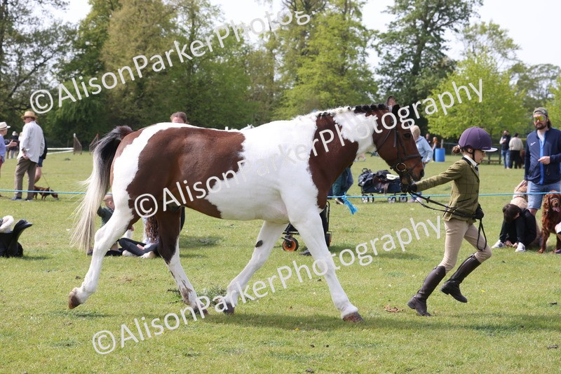20260426-3345 - Class 27 - Coloured Horses and Ponies
