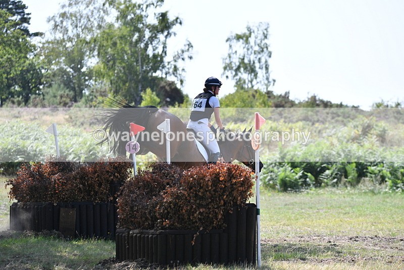 WJ5_3469 - XC Time 13:30 to 14:00