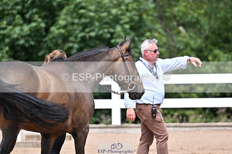 250716-125808-00250 - Trot Up 12.30 to 1.30
